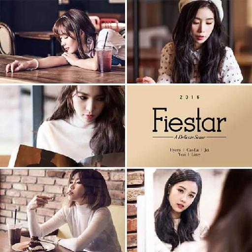 FIESTAR Mirror