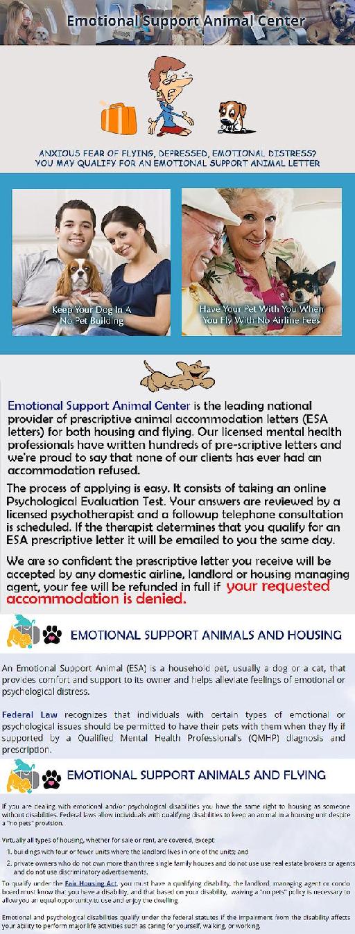 Emotional support centre infographics