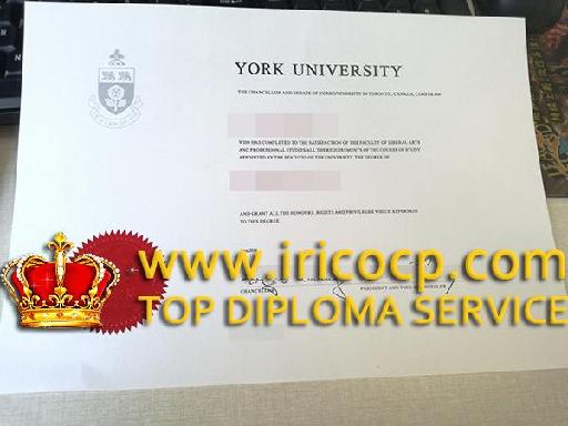 York University bachelor degree in Canada, buy fake degree